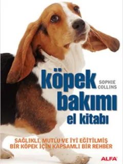Köpek Bakımı