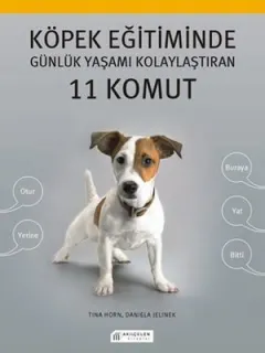 Köpek Eğitiminde Günlük Yaşamı Kolaylaştıran 11 Komut