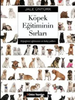 Köpek Eğitiminin Sırları