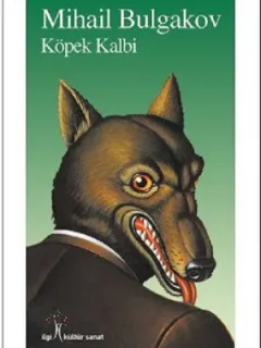 Köpek Kalbi