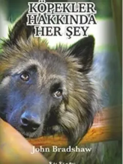 Köpekler Hakkında Her Şey