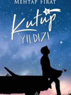 Kutup Yıldızı 2