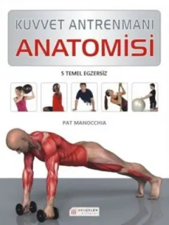 Kuvvet Antrenmanı Anatomisi