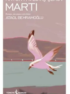 Martı