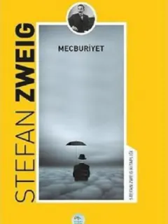 Mecburiyet-Stefan Zweig Kitaplığı