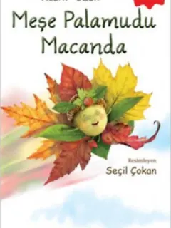 Meşe Palamudu Macanda