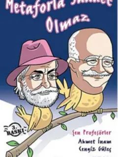 Metaforla Saadet Olmaz