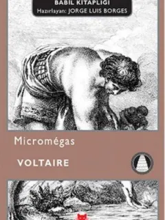 Micromegas