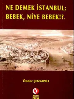 Ne Demek İstanbul, Bebek Niye Bebek?
