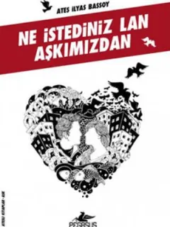 Ne İstediniz Lan Aşkımızdan (Ateşli Kitaplar: Aşk)