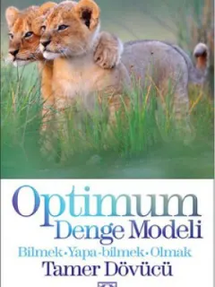 Optimum Denge Modeli