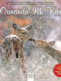 Ormanda İlk Kar
