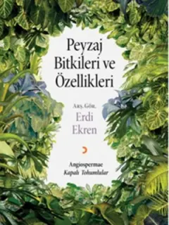 Peyzaj Bitkileri ve Özellikleri
