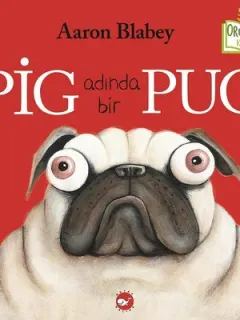 Pig Adında Bir Pug