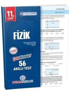 Puan 11.Sınıf Fizik Akıllı Test