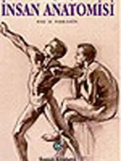 Sanatçılar İçin İnsan Anatomisi