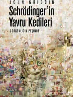 Schrödinger'in Yavru Kedileri