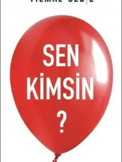 Sen Kimsin?