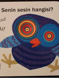 Senin Sesin Hangisi?