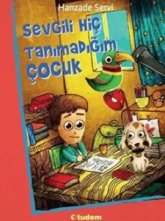 Sevgili Hiç Tanımadığım Çocuk