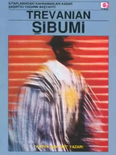 Şibumi
