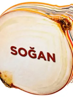 Soğan - Lezzetli Magnetler