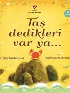 Taş Dedikleri Var Ya...