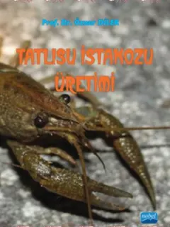 Tatlısu İstakozu Üretimi