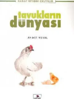 Tavukların Dünyası