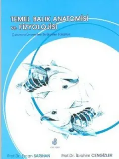Temel Balık Anatomisi ve Fizyolojisi