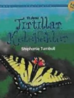 Tırtıllar ve Kelebekler