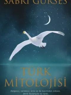 Türk Mitolojisi