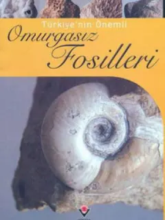 Türkiye'nin Önemli Omurgasız Fosilleri