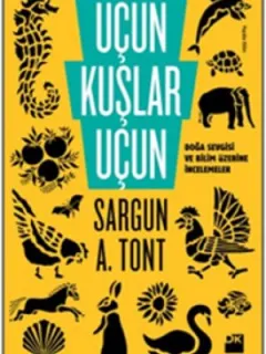 Uçun Kuşlar Uçun