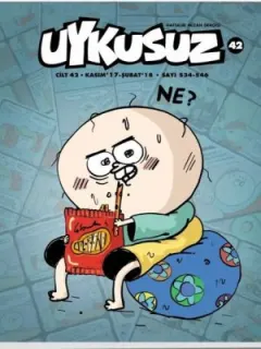 Uykusuz Cilt 42