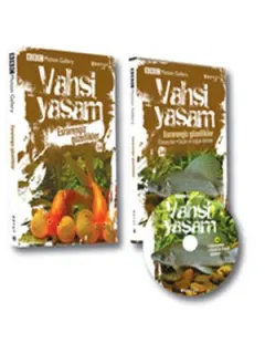 Vahşi Yaşam 2/ Esrarengiz Güzellikler