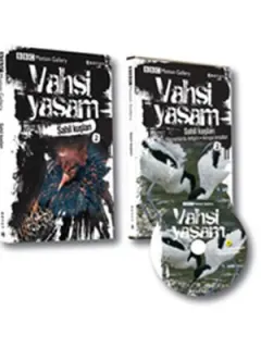 Vahşi Yaşam 2/ Sahil Kuşları