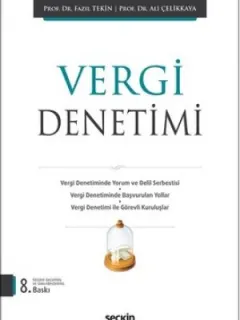 Vergi Denetimi