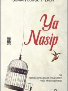 Ya Nasip