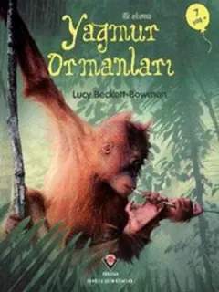 Yağmur Ormanları
