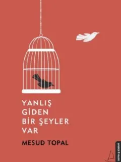 Yanlış Giden Bir Şeyler Var