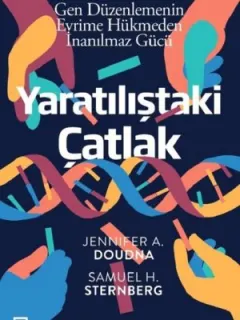 Yaratılıştaki Çatlak