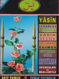Yasin, Tebareke, Amme, Vakıa, Secde, Duhan, Rahman, Cuma, Cin, Kıyame Okunuşları ve Mealleriyle (Yas
