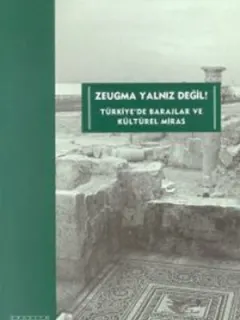 Zeugma Yalnız Değil! Türkiye'de Barajlar ve Kültürel Miras